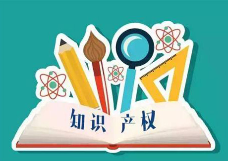 学会专家观点：知识产权与创新发展