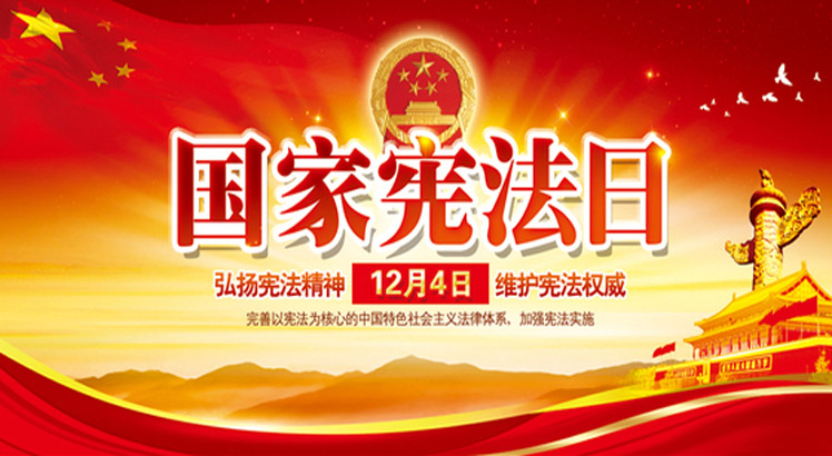 第五个国家宪法日