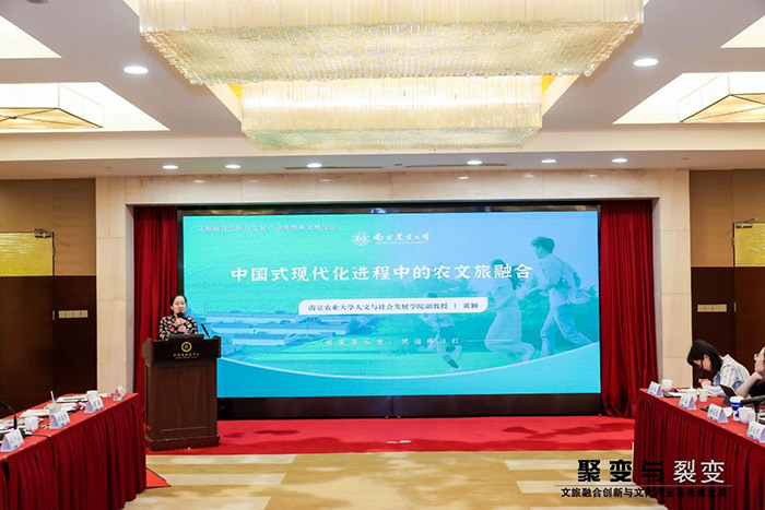 南京市社科联（院）举办“聚变与裂变——文旅融合创新与文化产业高质量发展论坛”