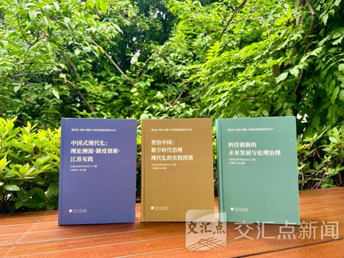 聚焦“现代化·智治·创新”，这套丛书集中展示国内相关领域前沿研究成果