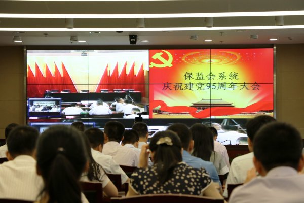 省保险学会组织开展建党95周年系列纪念活动